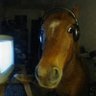 high profil fotoğrafı
