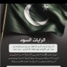 Profilbild von Dark Green Flags