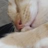 hax profil fotoğrafı