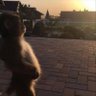 Phillibuster profil fotoğrafı