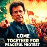 Profilbild von bushra javed