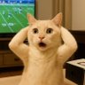 House Cat 的头像