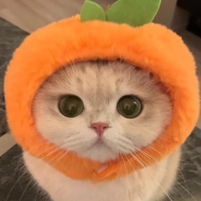 KatrinaLim39205's profile picture