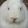 Profilbild von Smokey