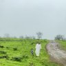 Фото профиля عبدالرحمن العولقي 🇴🇲