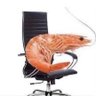 ShrimpRice 的头像