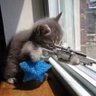 ScrollSniper's profile picture