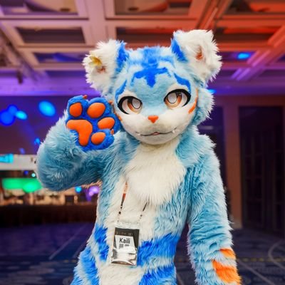 KailiFurry's profile picture