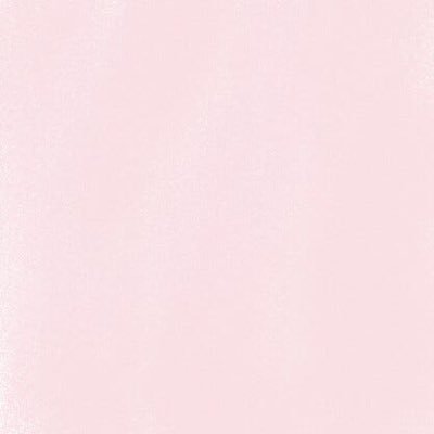 kitten_lys's profile picture