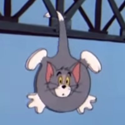 dsuigyu's profile picture