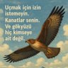 Фото профиля Fhrttn Kzl