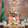 Profilbild von HAMI ALAREEN 9