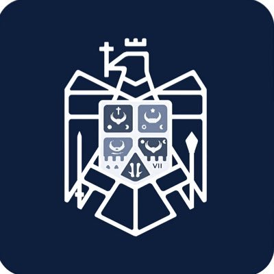 brave_romania's profile picture