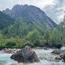 Wang 的头像
