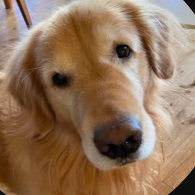 ビグ's profile picture