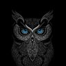 محبوب گزیدہ profil fotoğrafı