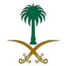Son of Saudi Arabia🇸🇦's profile picture