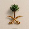 Фото профиля #عبدالله_المريدي