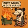 Фото профиля 🇺🇸Dumpster Fire Possum🇺🇸