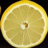 Lemon's profile picture