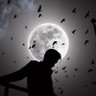 Bm Kh's profile picture