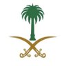 🇸🇦 profil fotoğrafı