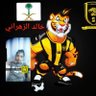 خالد بن سعيد 💛🐯 的头像