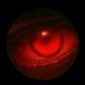 RedVision's profile picture
