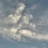 Фото профиля Skyborn
