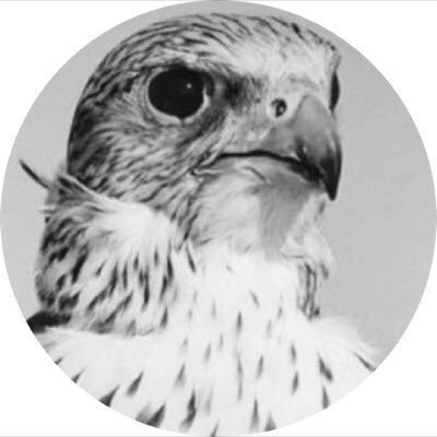 Aldweeish's profile picture
