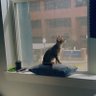 Doyin profil fotoğrafı