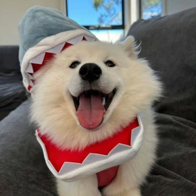 陇陇本陇(接定制版)'s profile picture