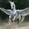 Tulpar profil fotoğrafı