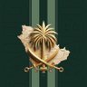 Profilbild von 𝓜𝓐𝓝𝓢𝓞𝓤𝓡 🇸🇦