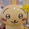 Jun-chan's profile picture