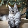Фото профиля Michy