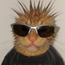 Profilbild von David