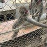 森田　さとる 的头像