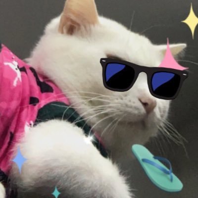 พจล.'s profile picture