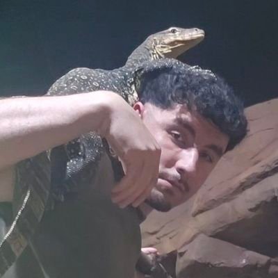 sinprepu's profile picture