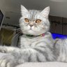 Фото профиля floki