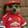 Profilbild von kbrain๐
๐
๐