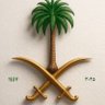 Abo Fares Albdrani 的头像
