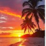 naples beachcomber 🇺🇸's profile picture