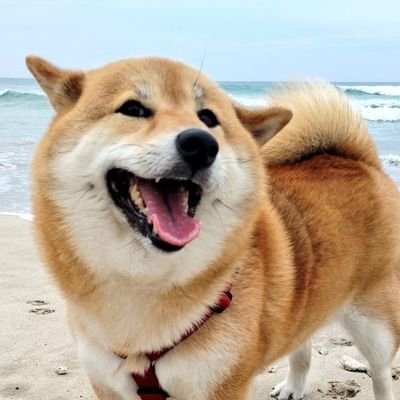 benibaraxxx's profile picture