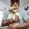 Kanakjit Singh Kkj's profile picture
