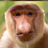 Profilbild von Lutrylad71