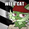 local weed cat 的头像