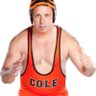 Heel Michael Cole 的头像