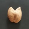 Фото профиля بادوم دوقلو